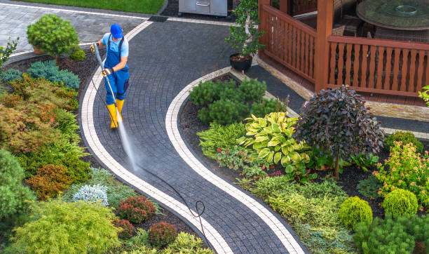 Carol Stream, IL  Pressure Washing Company